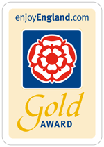 Gold award