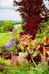 In the Garden