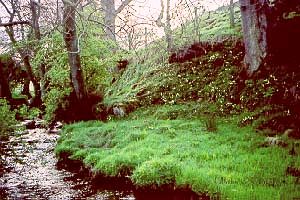 Daleside Farm, Lake District, Cumbria