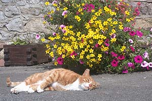 Relaxing holidays in the lake district, cumbria