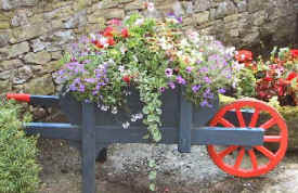 flowerbarrow.jpg (35883 bytes)